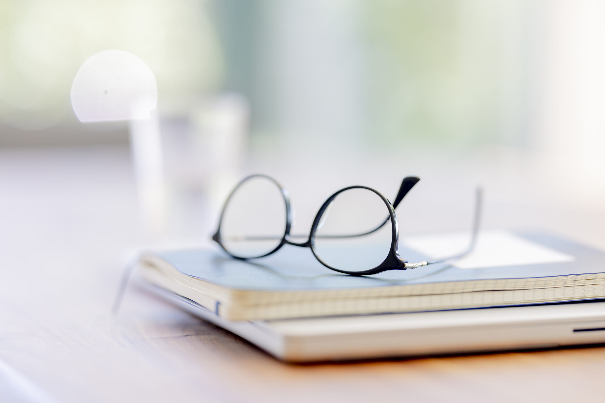 Hanna Witte 17 scaled