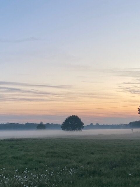 IMG 7244 fehlende Klarheit rotated